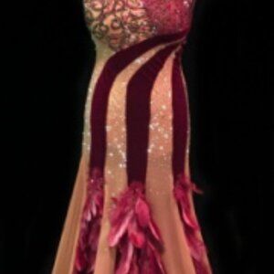 Burgundy & Nude Smooth Couture Ballroom Competition gown W/ Swarovski & Feathers